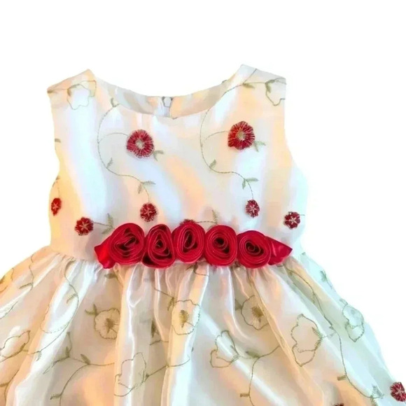 NWT Girls  Fancy Party Dress By Katie M Ivory with Red Flowers Green Leaves 4T - Picture 3 of 7